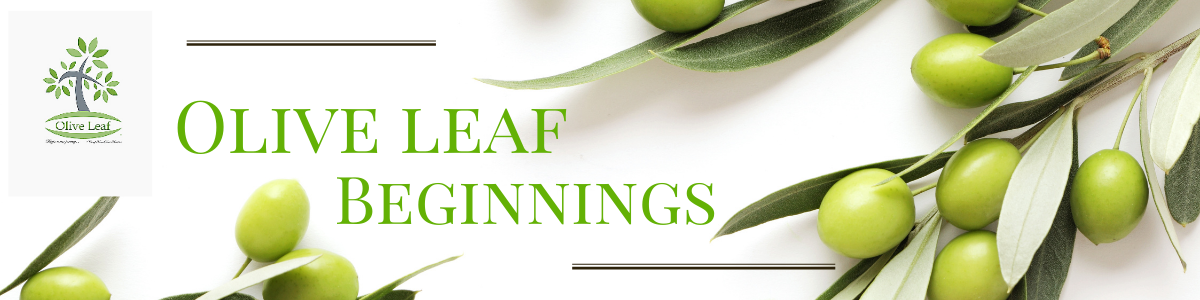 Olive Leaf Beginnings Blog